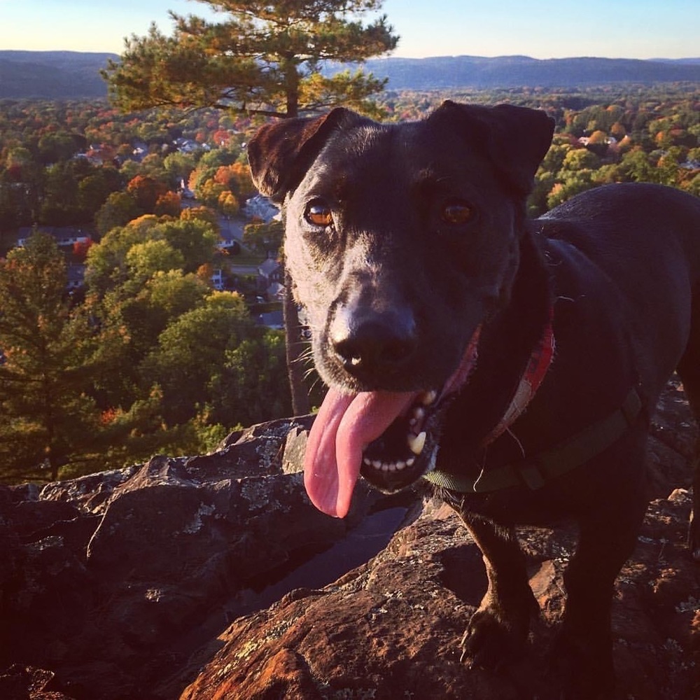 Bundle Order for Ashley